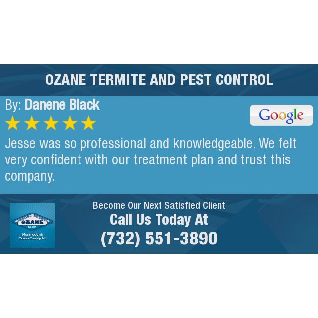 5 Star: danene b. "Jesse was so professional and knowledgeable. We felt very confident with our..."