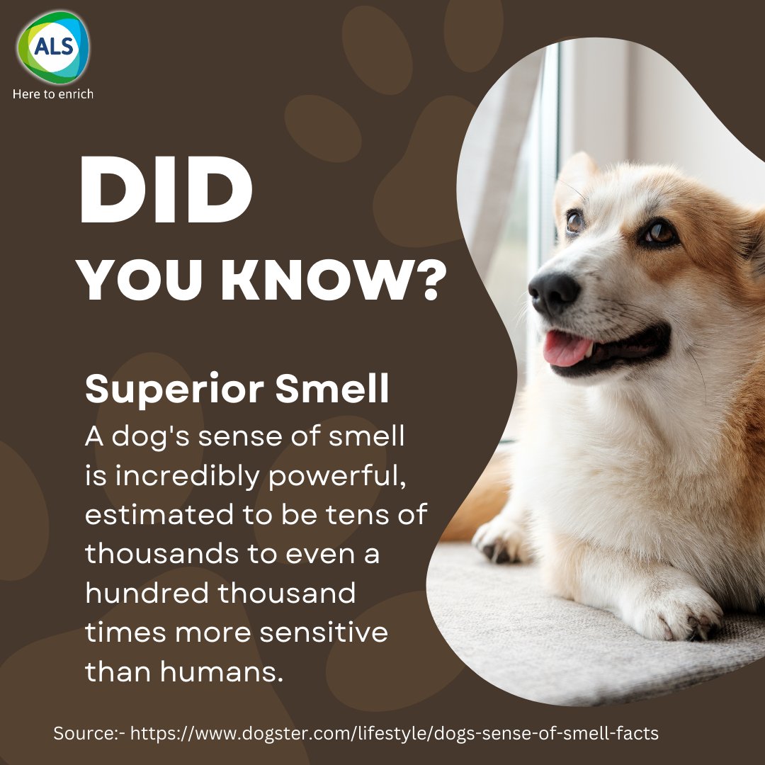 Did you know that A dog's sense of smell is incredibly powerful, estimated to be tens of thousands to even a hundred thousand times more sensitive than humans.

#DidYouKnowThis #dogsense #superior #ALS #AnimalCare #ashishlifescience #Animalpharma #poultryfarming #animalhealth