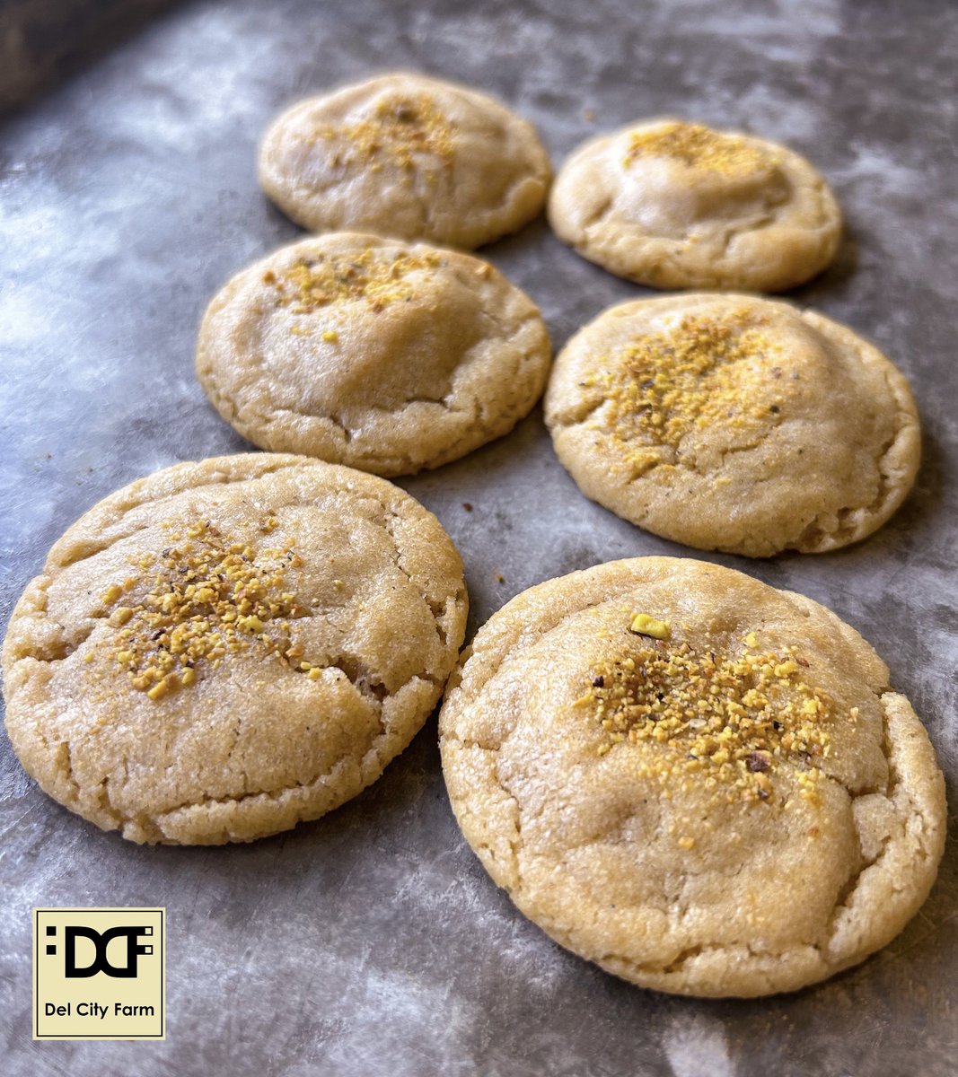 Sweet Mango Lassi cookies cooling on their pan 🥭🥛🧡

#mango #mangos #yogurt #lassi #mangolassi #cardamom #pistachio #pistachios #april #spring #bakery #baker #smallbusiness #local #vegetarian #womanownedbusiness #delawareohio #delawarecountyohio #ohio #cookies #homemade #baking