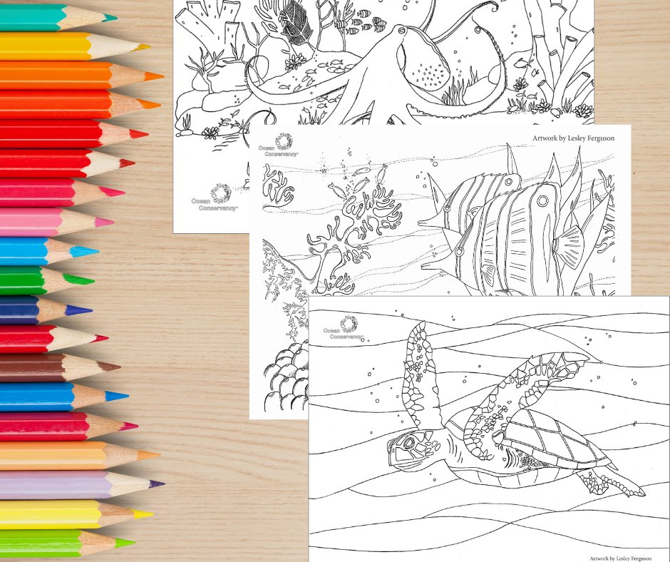 Calling all parents, caretakers, teachers + ocean educators (or just our friends who love to color)! 🌊 Our ocean coloring pages are the PERFECT creative #EarthDay activity. 🌊 🖍️ 🌊 Download now 👉 ow.ly/XTwa50xvfzu