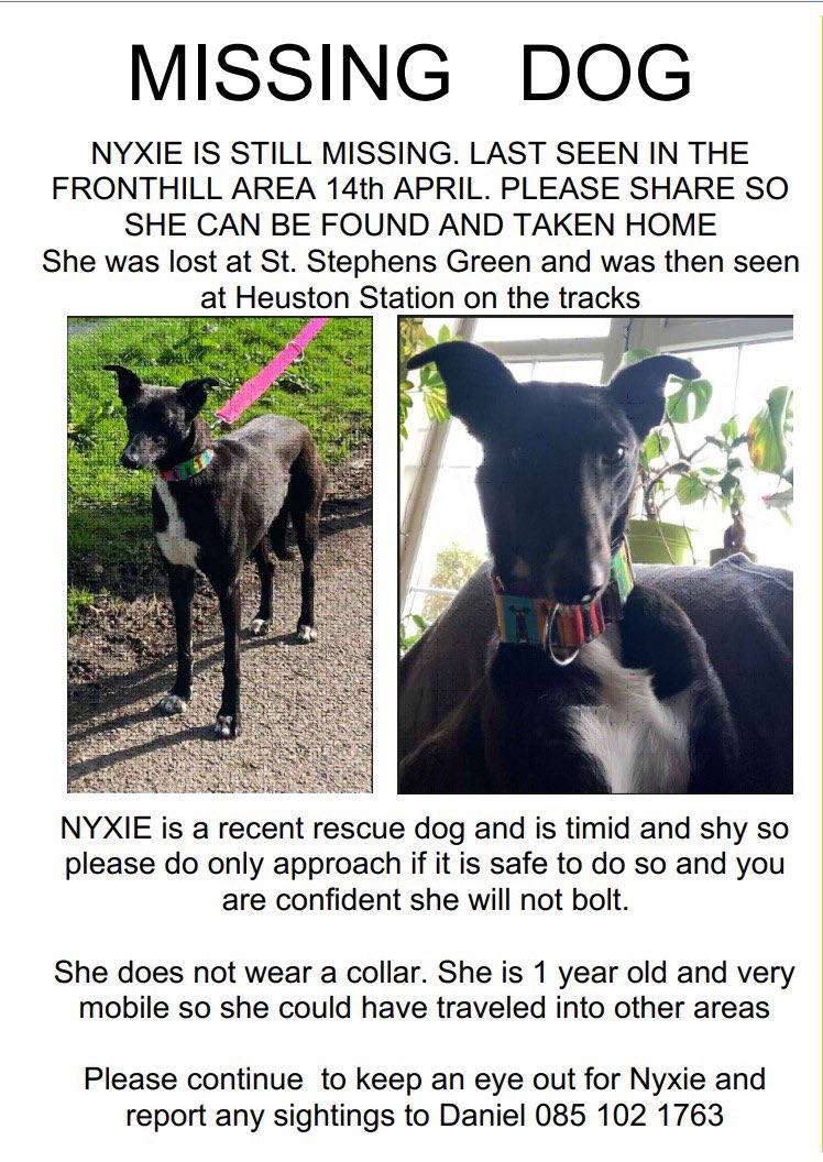 Still missing, please keep an eye out for Nyxie, please share and RT her flyer so she can be found and be taken home, thanks #missing #Dog #Dublin #missingrescue #Nyxie Please RT <a href="/RealLindaMartin/">Linda Martin</a> @pjgallagher <a href="/RadioBrendanRTE/">Brendan O’Connor</a> <a href="/deric_tv/">Deric</a> <a href="/DublinSPCA/">DSPCA</a> <a href="/DogsTrust_IE/">Dogs Trust Ireland</a> <a href="/dogsaid/">dogs aid</a>