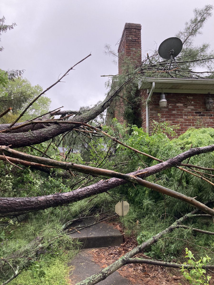 reginaLphillips's tweet photo. @MarcWeinbergWX Woke up to a big tree uprooted in east Louisville https://t.co/nhXb16HSv9