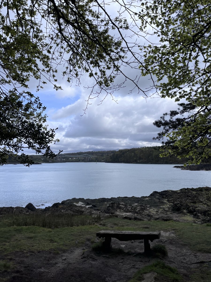 Discover Coed Môr While the weather is lovely, there are plenty of trails around Môn (Anglesey) to walk. Beneath the hustle and bustle of Britannia bridge is a lovely woodland on the banks of the Menai Strait. Awaken your senses as you wander along paths around Coed Môr.