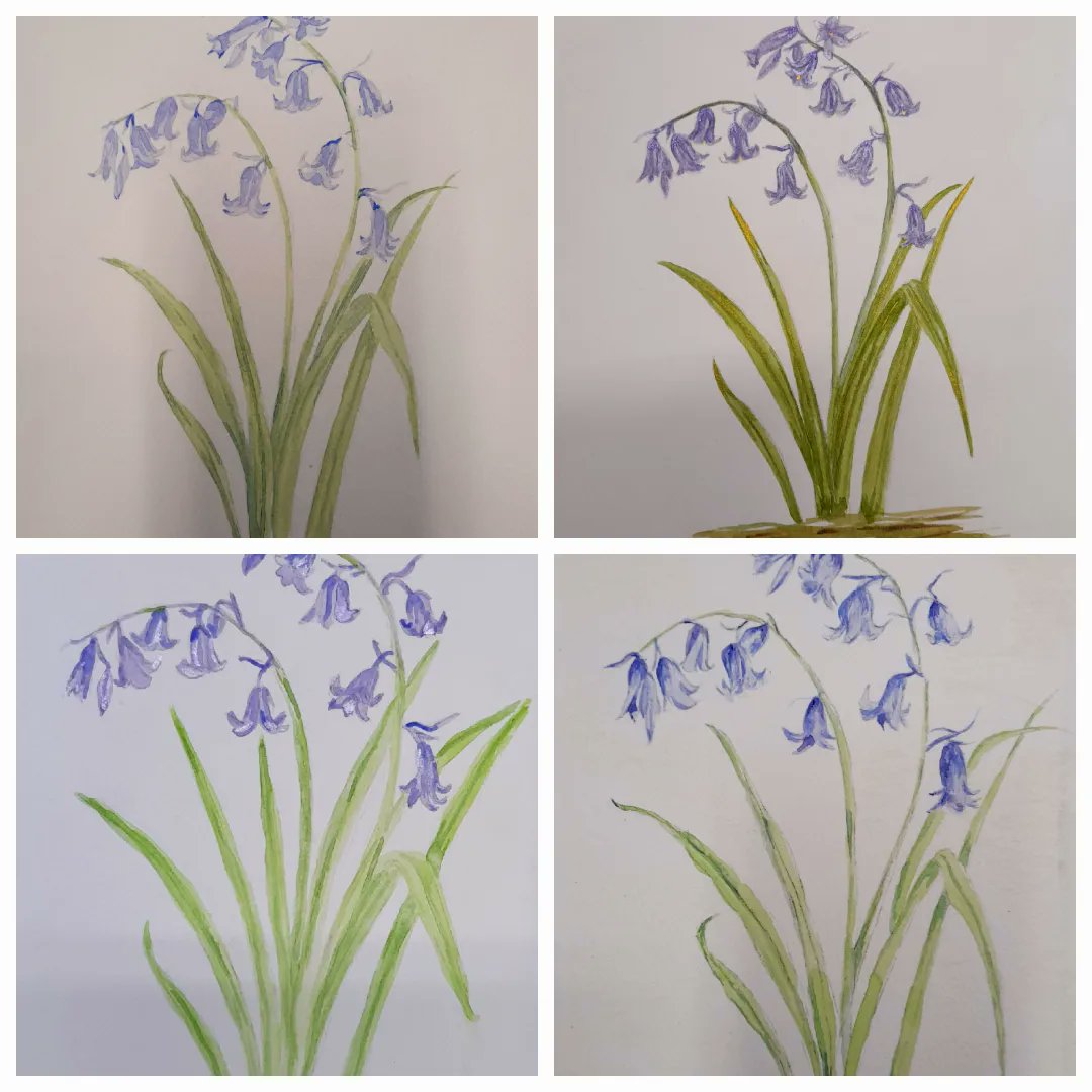 Beautiful Bluebells!!  Spring is finally here!! Well done everyone. 👏👏👏