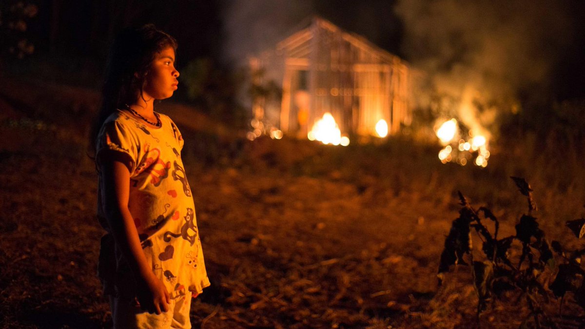19 de abril: Dia dos Povos Indígenas — Dicas de filmes 🇧🇷 dirigidos e/ou estrelados por indígenas:

• A Febre (Maya Da-Rin)
• Noites Alienígenas (Sérgio de Carvalho)
• A Última Floresta (Luiz Bolognesi)
• O Território (Alex Pritz)
• Chuva É Cantoria na Aldeia dos Mortos