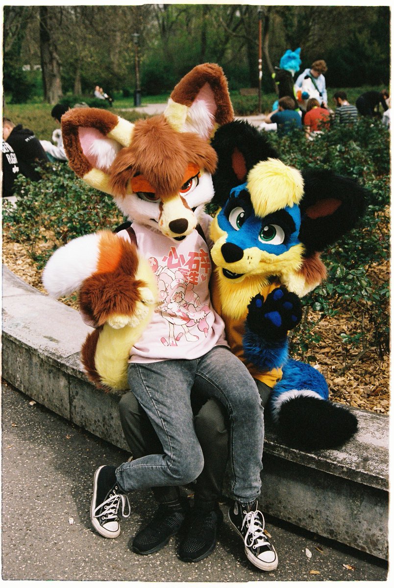 Look how cute we are! 
Happy #FursuitFriday ✨

📸 TechieTheWolf
🦊 <a href="/ShinyKimiko/">Shiny✨Kimiko</a>
