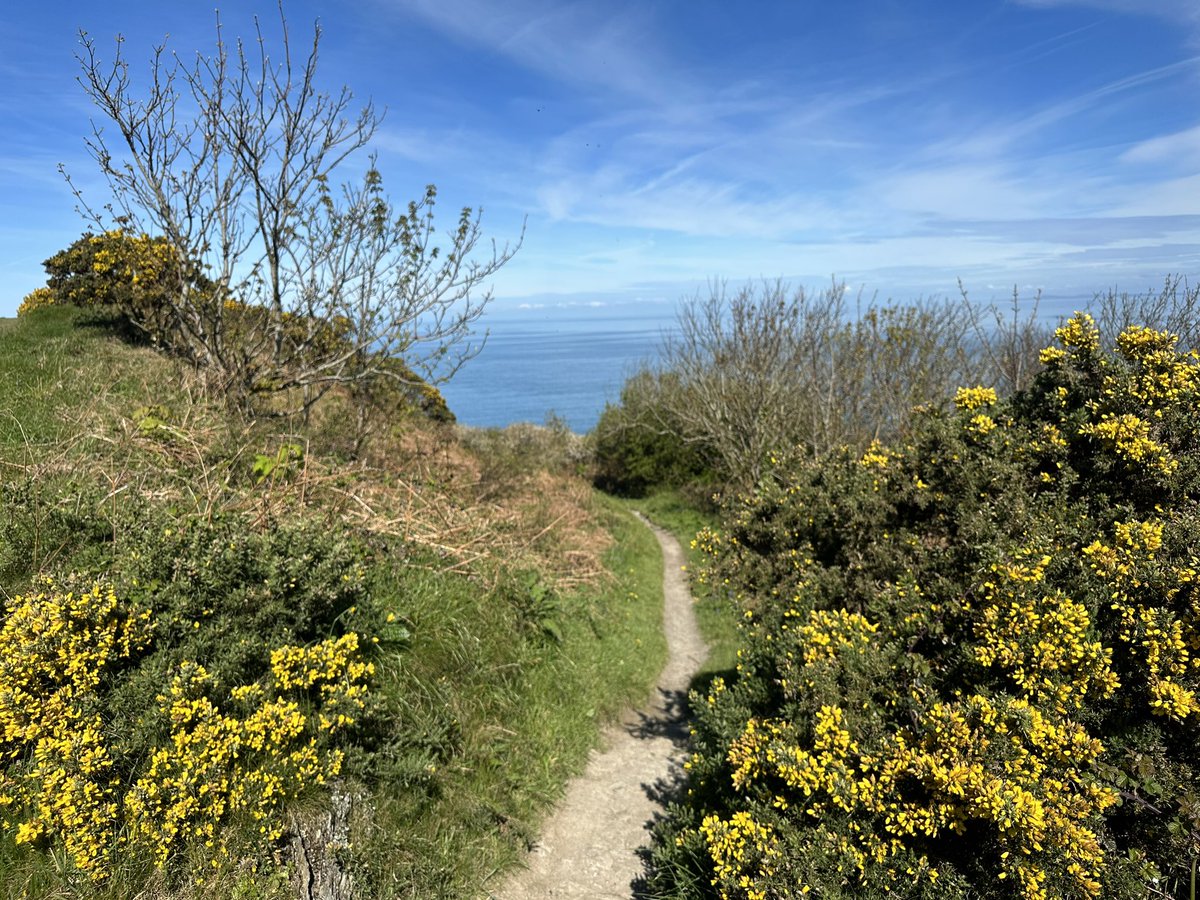 Only one thing for it in this beautiful Spring sunshine. Lace up your boots & get out on the stunning South West Coast Path! 
#swcoastpath #viewsfordays #coastalwalks #countryside #springbreak #dogswelcome #lowseason #thegreatoutdoors #wellbeing #walking #northdevon