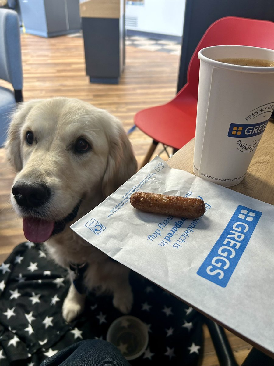 ❤️ my local #Greggs - they give their favourite #assistancedog a complimentary sausage when veteran sneaks out with me for a coffee and doughnut! Yum yums! @GreggsOfficial