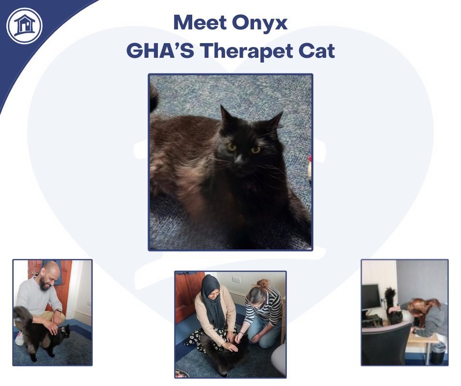 ❤️ 🐱 FEEL GOOD FRIDAY - ONYX 🐱❤️ Meet Onyx, our therapet cat who made us all smile during a visit to our office this morning! #GrampianHA #FeelGoodFriday #FGF #Therapet #Onyx #Cat