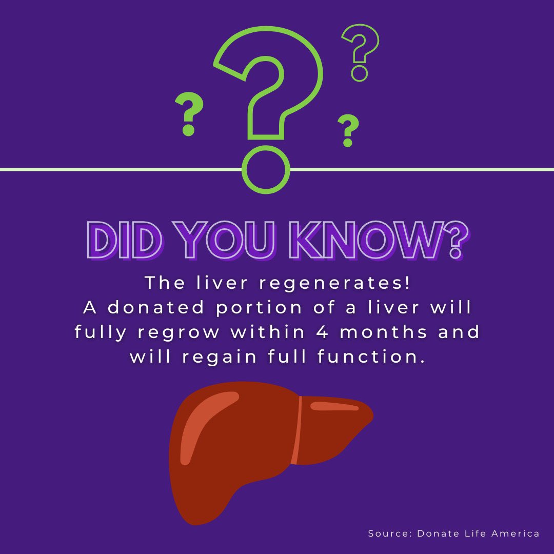 Livers from deceased organ donors can be split, doubling the chance of saving lives. 💙💚 #DonateLife #GiftOfLife