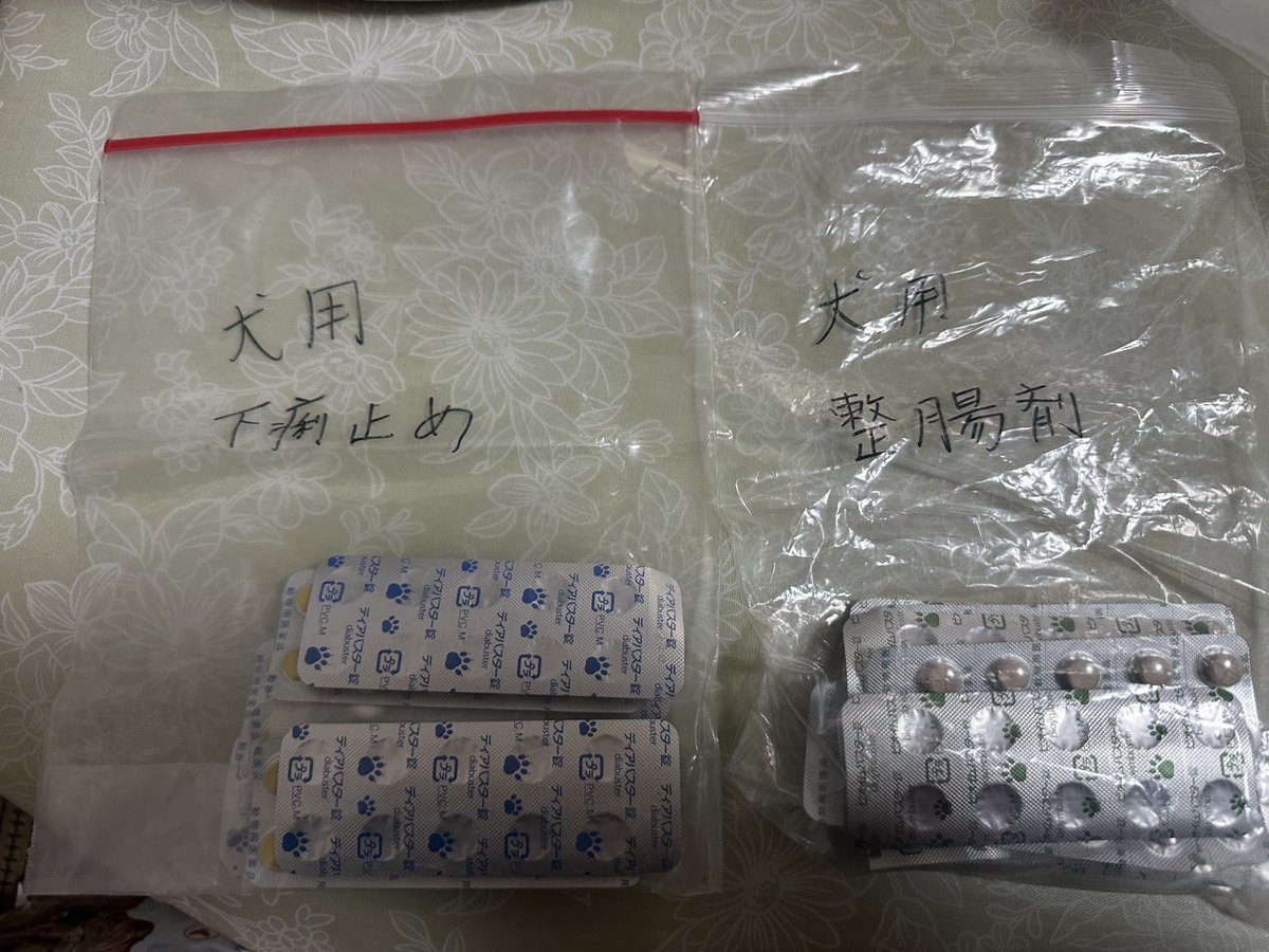 atomutt's tweet photo. 犬の下痢止めと整腸剤を自宅に帰って気付いたら無くなってて、もしかしたら何処かで落としたかもしれません💦家にあるのかもと思い探しましたが見つかりません。
写真の様にジッパーに各100錠ずつ入れてありもし見つけて警察に届けてくれた方が居ましたらDM下さい。宜しくお願いします。 https://t.co/42DrU9SEJY