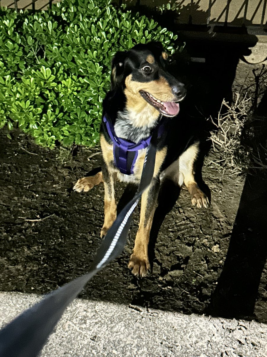 My face when I read that #TTPD was a double album #TTPDAnthology <a href="/taylornation13/">Taylor Nation</a> <a href="/taylorswift13/">Taylor Swift</a> #TaylorSwift