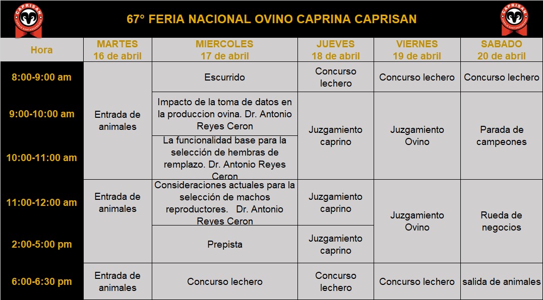 CenferSA's tweet photo. ¡Saludos! Estamos en el #3dia de #Agroferia2024 y la agenda académica, juzgamientos de ganados bovinos y ovinocaprinos, así como la muestra comercial de insumos, maquinaria y transporte agroindustrial no se detienen, porque nos mueve el sentir por el campo y sus empresarios. https://t.co/Q0SPkVZtaa