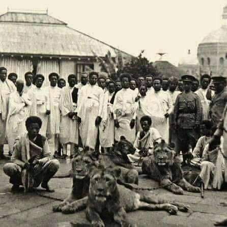 Ethiopian soldiers used lions, bees, wasps, and elephants in wars against colonizers. They trained these creatures to fight their enemies. The creativity and ingenuity of the Black Man is unmatched. Ethiopia was never colonized