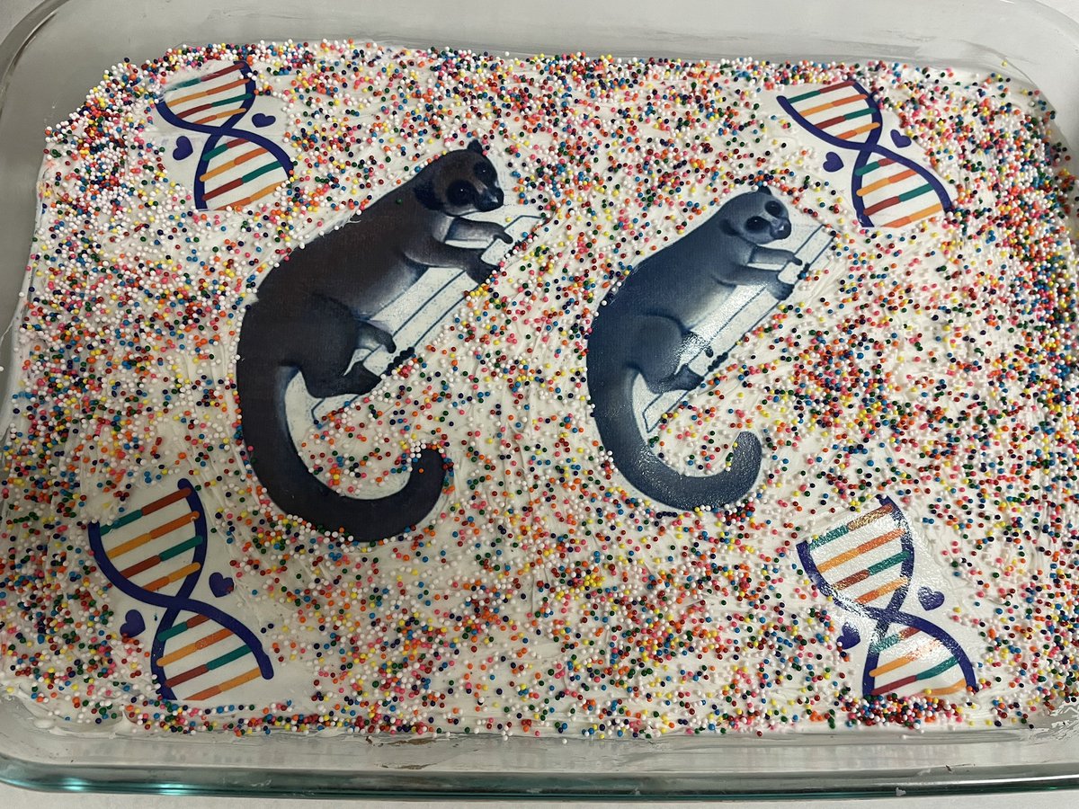 colemanbio414's tweet photo. Can you spot the @miniPCR inspired @NHSDNADay project? @genome_gov #dnaday https://t.co/IAO8OgK9un
