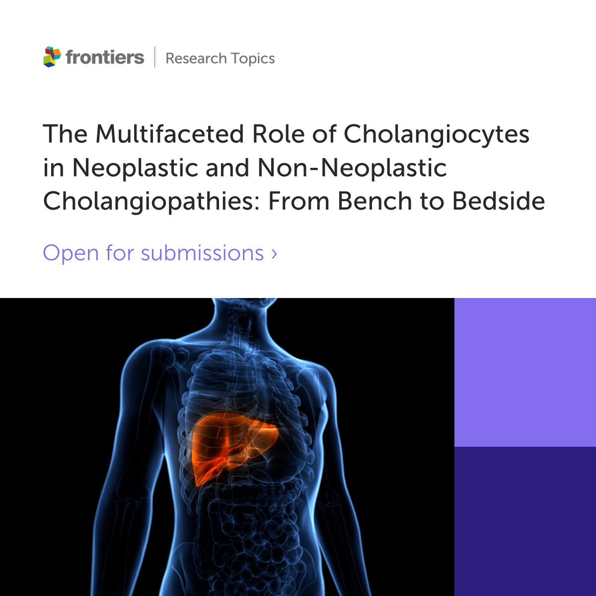 📢Call for Papers! Submissions are open for ''The Multifaceted Role of Cholangiocytes in Neoplastic and Non-Neoplastic Cholangiopathies: From Bench to Bedside'' Edited by @AllyGambella and @MichelePinon1 Contribute or find out more➡️ fro.ntiers.in/62835