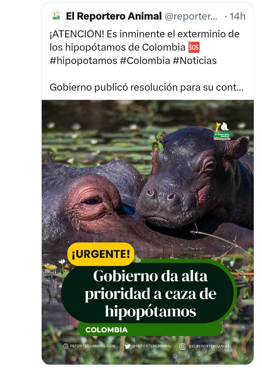 OPAAC_Col's tweet photo. @petrogustavo El populismo se hace aún más barato, cuando se dice defender a capa y espada temas como la vida, y se toman este tipo de decisiones 👇. https://t.co/tO6meFQ5ig
