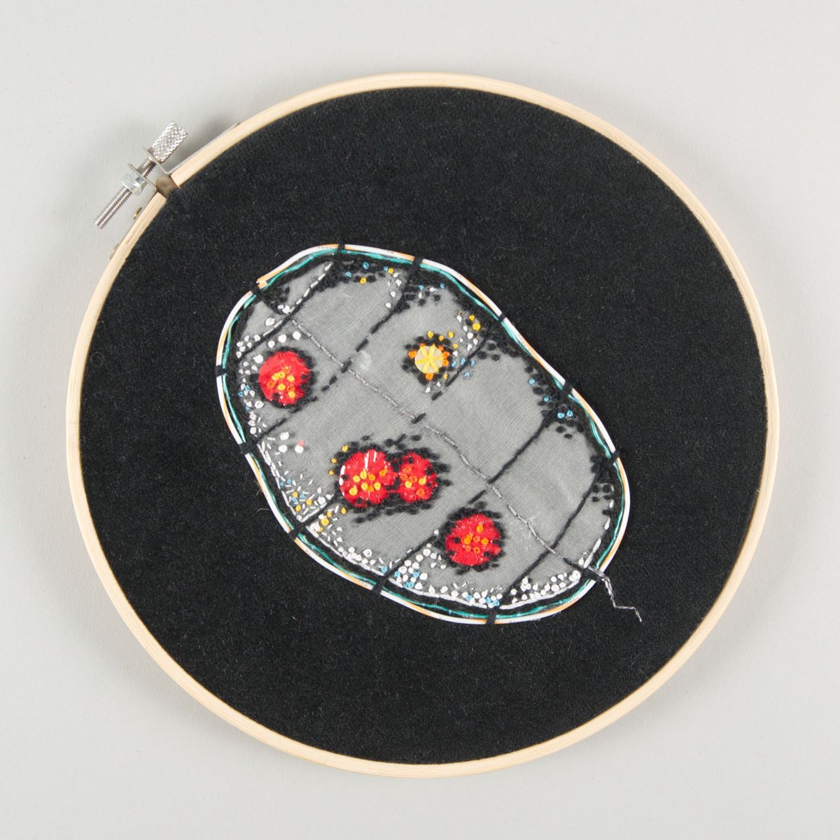 This #ForthFriday #100Species is the Dinoflagellate. This embroidery by Kathleen Wilson shines a light on this microscopic phytoplankton. This single-cell organism is an important link in the marine food chain. Come and see our temporary exhibition by Edinburgh Shoreline #SeaLife