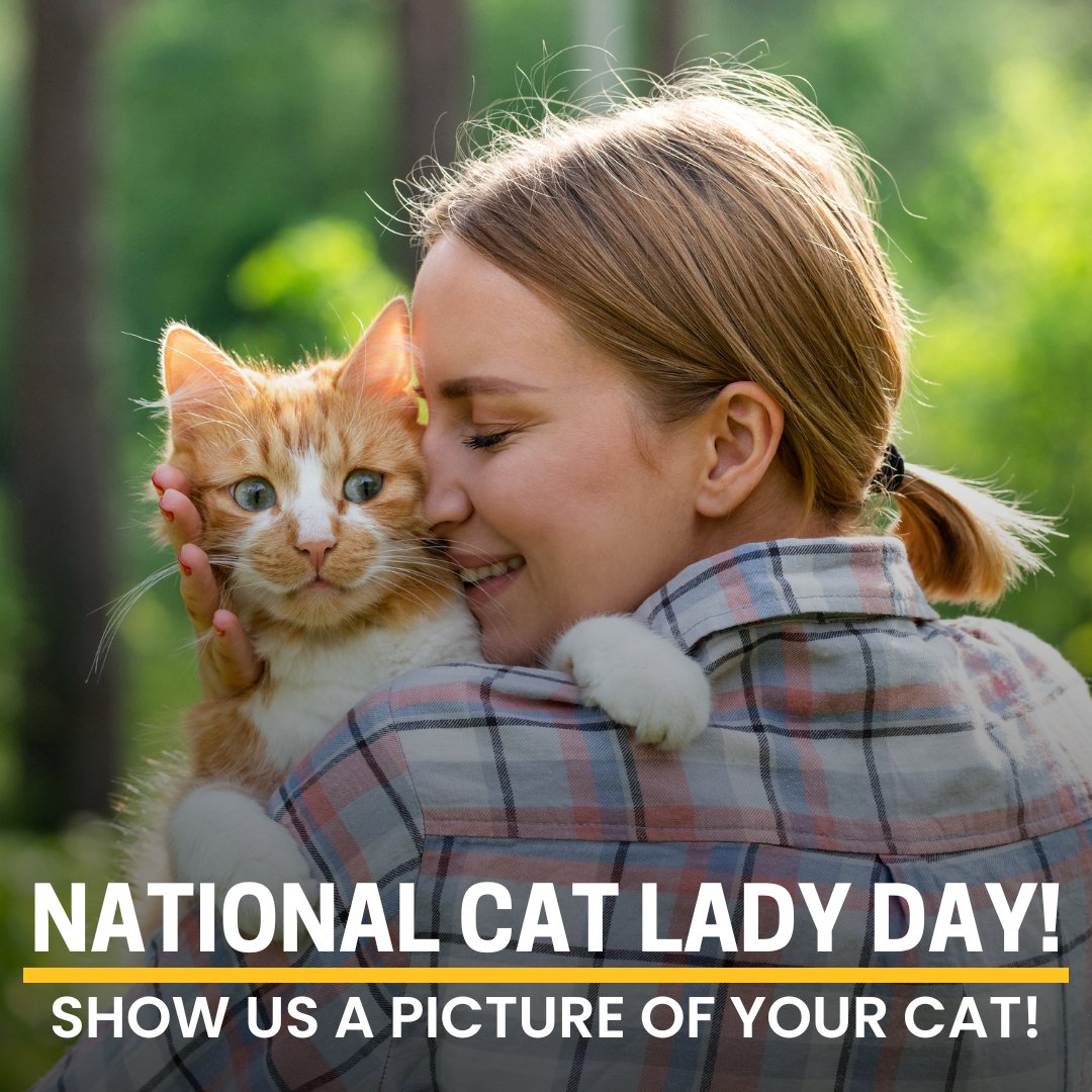 Let's celebrate the purr-fect companionship. Share a picture of your fur-baby! 🐱actionnews5.com/community/user…