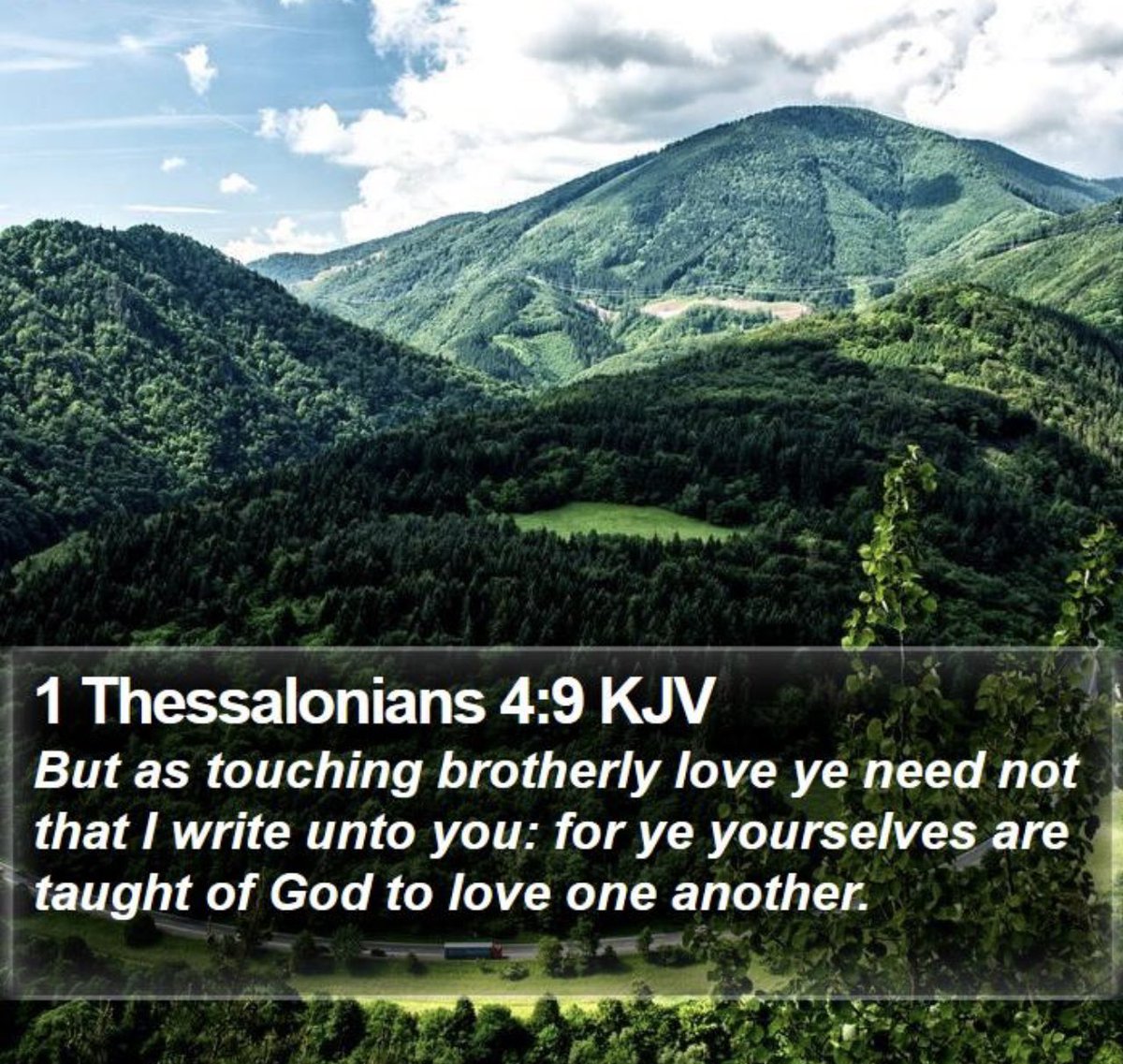 🌿Good Morning Fishers of Men🌿 🕊Have you ever heard your Granny say ‘Your actions are speaking so loud I can’t hear one word you are saying’? Loving words without meaningful deeds are meaningless. As believers we should be known for the practice of brotherly love ❤️. A loving