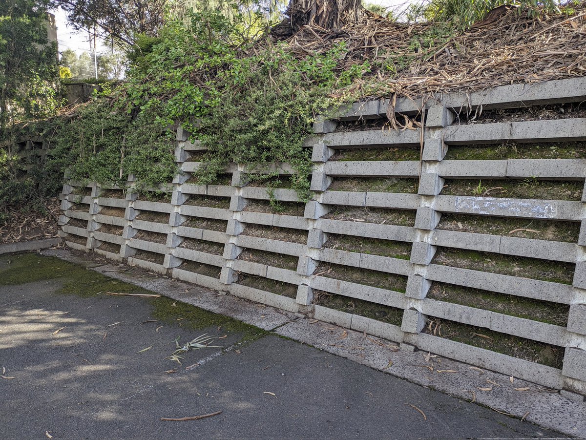 I have more seen this type of retaining wall before can anyone give some insights? #civildesign #construction #structuraldesign #fence #australia #architecture