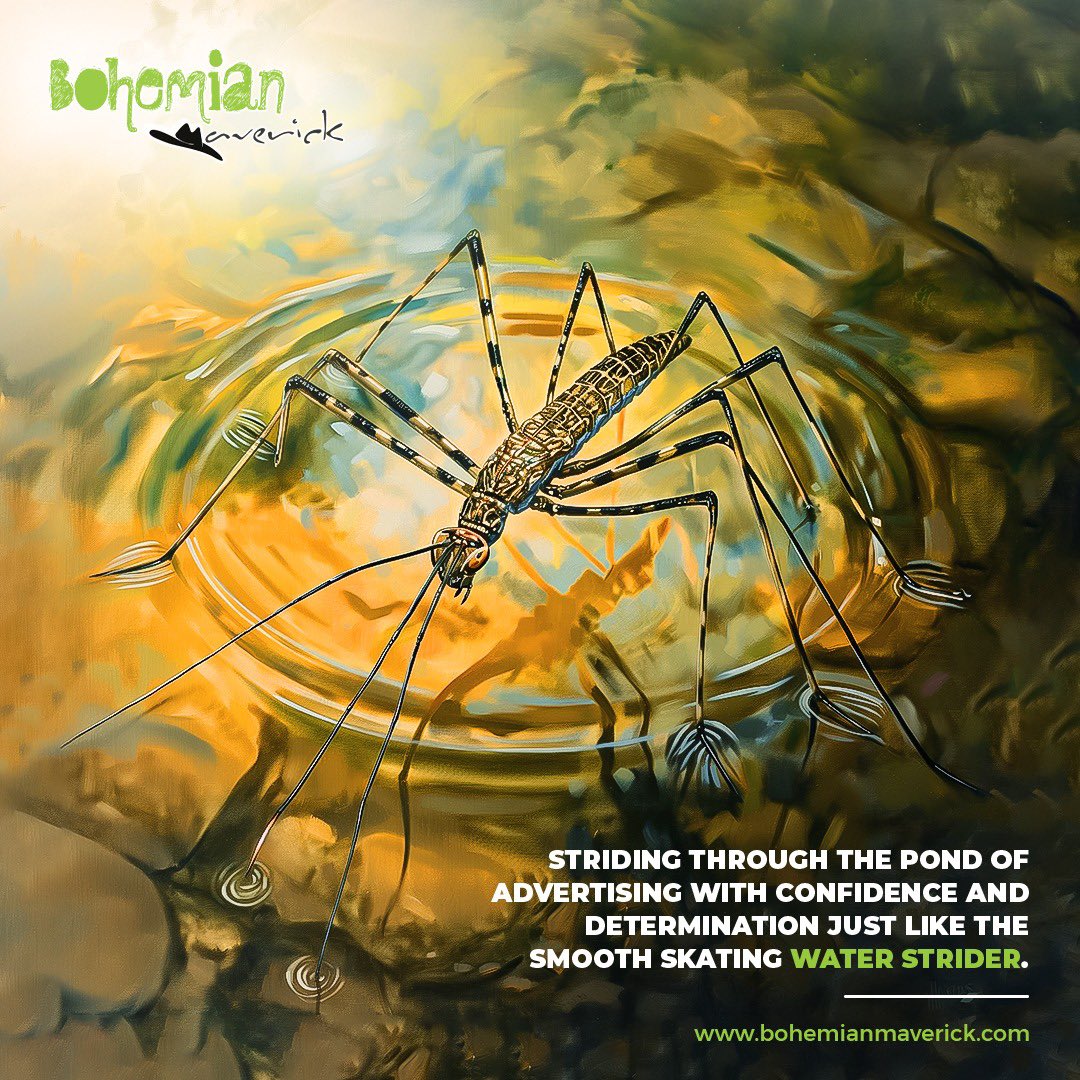 b_mavericks's tweet photo. Moving like the water strider across the surface while mastering the art of advertising.

#AdWorldMastery #StrideOnCreativity #Smoothoperator #BMWildlife https://t.co/wnA13rzJnr