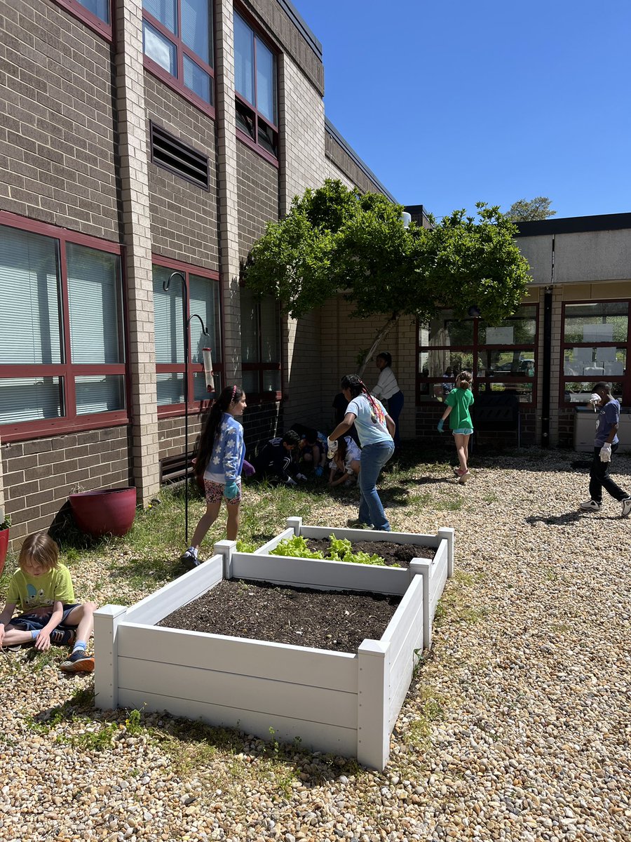 Kathleen Herron (@kherron2016) on Twitter photo Ms.Howardās Class <a href="/RiversideFCPS/">RiversideES</a> removed invasive species from The Love and Health Garden. Seeds anyone? <a href="/fcpsGet2Green/">FCPS Get2Green</a> @FCPSScience <a href="/STEAMatRES/">RiversideSTEAM</a> #rocketsrockit Ms.Howardās Class <a href="/RiversideFCPS/">RiversideES</a> removed invasive species from The Love and Health Garden. Seeds anyone? <a href="/fcpsGet2Green/">FCPS Get2Green</a> @FCPSScience <a href="/STEAMatRES/">RiversideSTEAM</a> #rocketsrockit