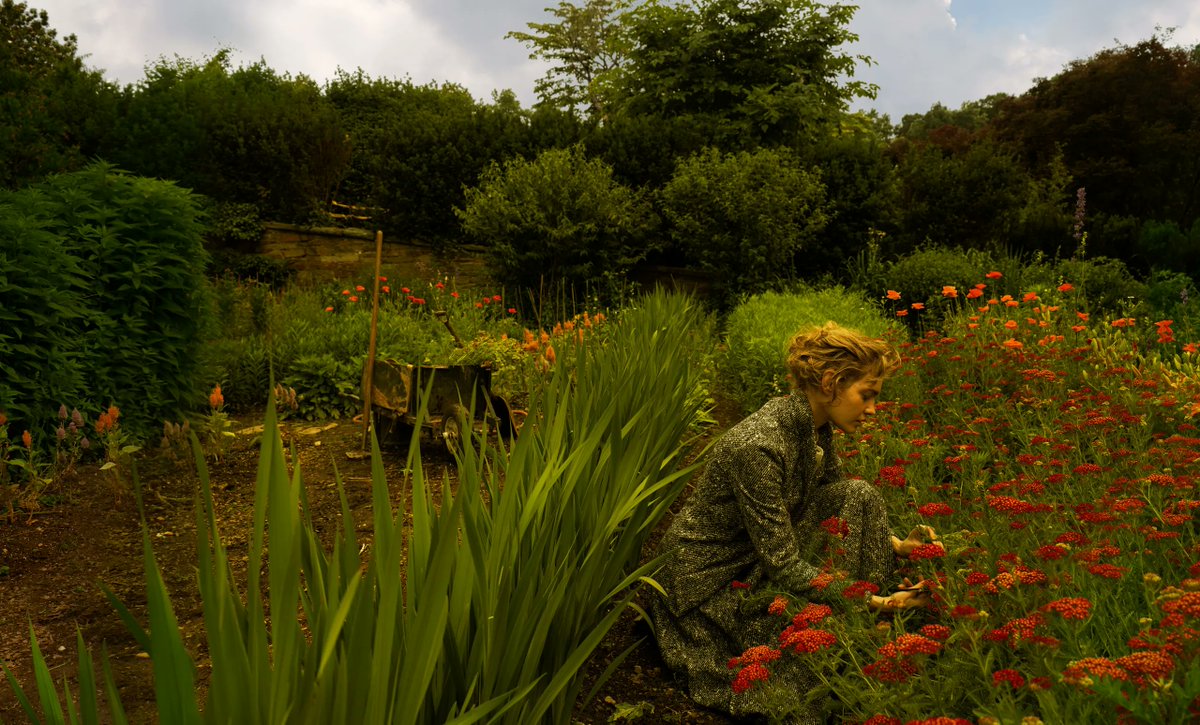 #InsightOfTheDay Annie Leibovitz 'I wish that all of nature's magnificence, the emotion of the land, the living energy of place could be photographed.'