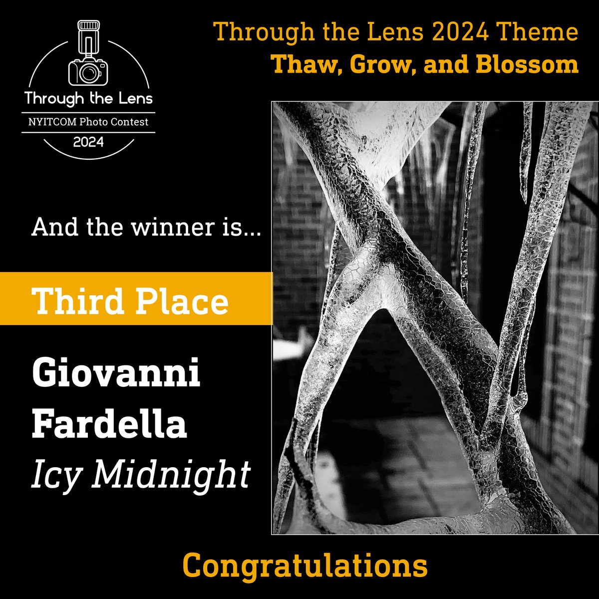 🥉 Third Place: Giovanni Fardella, with 'Icy Midnight' The NYIT College of Osteopathic Medicine community is filled with remarkable talent and innovation. Congratulations to the winners of the Through the Lens Initiative! For more info visit nyit.edu/medicine/throu…