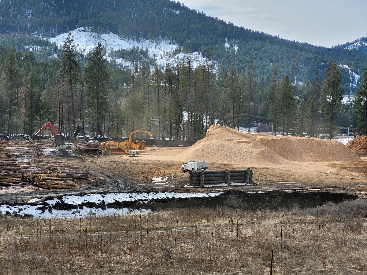 Sutherland_Grp's tweet image. Our dedicated team at BCEco, a Sutherland Group company, is full-on on-site, from whole log chipping to fiber waste grinding, turning nature&apos;s resources into sustainable solutions! 🌲♻️ hubs.ly/Q02scmYb0 #ForestrySolutions #IndustrialServices #Chipping #Grinding