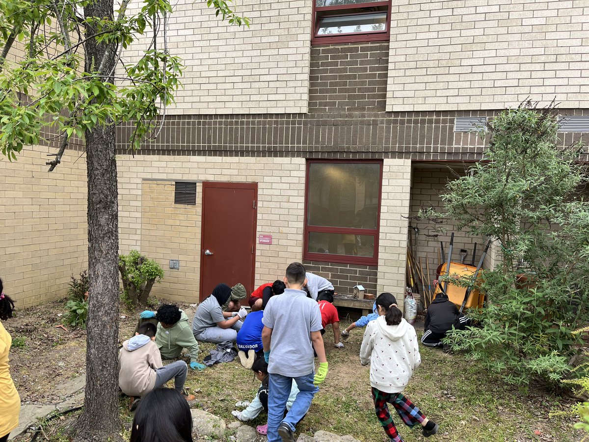 Kathleen Herron (@kherron2016) on Twitter photo Mrs.Whiteās Class and Ms.Cansdaleās Class <a href="/RiversideFCPS/">RiversideES</a> removed invasive species from The Rocket Garden. The Rocket Garden is ready for spring plants. <a href="/STEAMatRES/">RiversideSTEAM</a> <a href="/fcpsGet2Green/">FCPS Get2Green</a> @FCPSScience #rocketsrockit Mrs.Whiteās Class and Ms.Cansdaleās Class <a href="/RiversideFCPS/">RiversideES</a> removed invasive species from The Rocket Garden. The Rocket Garden is ready for spring plants. <a href="/STEAMatRES/">RiversideSTEAM</a> <a href="/fcpsGet2Green/">FCPS Get2Green</a> @FCPSScience #rocketsrockit