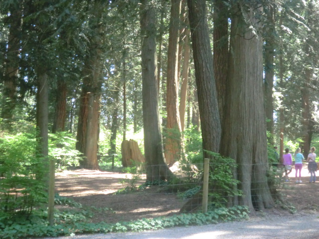 PetFoodNMore's tweet photo. This Friday we are visiting Hoffman Park in Pit Meadows. This park has an off-leash dog park as well as lots of hiking trails. Make sure to follow the signs and leash up when on the trails. 
#petfoodnmore  #PitMeadows #offleash #dogpark #outdooradventures #dogfriendly #exploreBC https://t.co/kyBWEB8o3N
