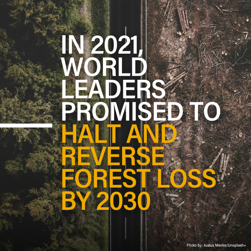 WorldResources's tweet photo. Forests support our planet every day, not just #EarthDay!🌳🌍

2023 saw dramatic reductions in primary forest loss, showcasing that political leadership and strong policies work. But the story is not consistent around the world.

Read the Findings👉 https://t.co/vNFwjuy2vx