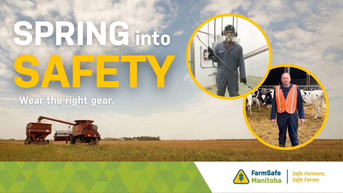 FarmSafeMB's tweet image. Prioritize your safety and the safety of those around you by wearing the necessary protective equipment for the task at hand. PPE may include helmets, gloves, safety goggles, ear protection, high-visibility clothing &amp;amp; safety footwear. #SpringIntoSafety #FarmSafetyFriday
