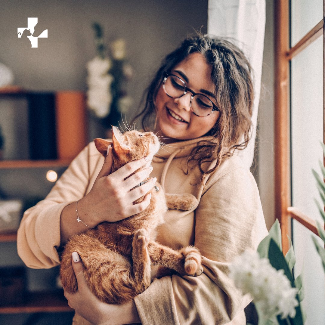 Pet Assure tweet media