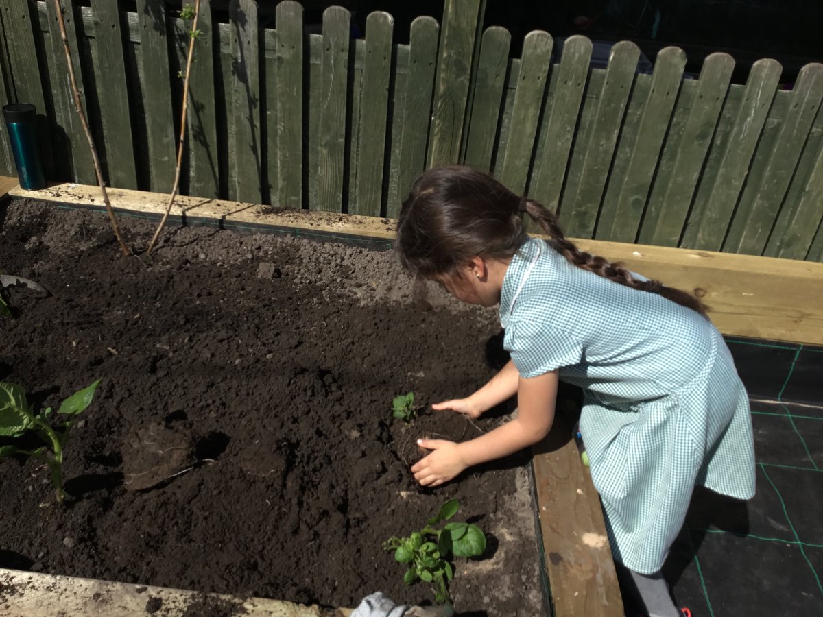 We have some amazing gardeners! We have been planting lettuce and sweetcorn, and re-planting potatoes. We love our new raised beds and potting shed. Thank you to families who have sent in seeds and @fftliverpool