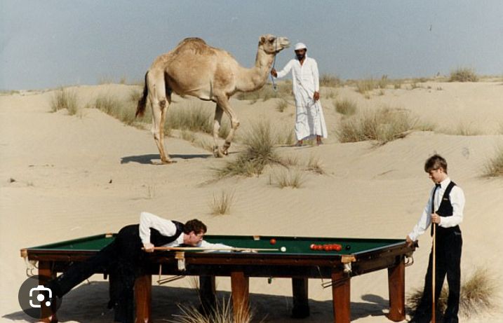 EmperorofPot's tweet image. Next year's world championship...