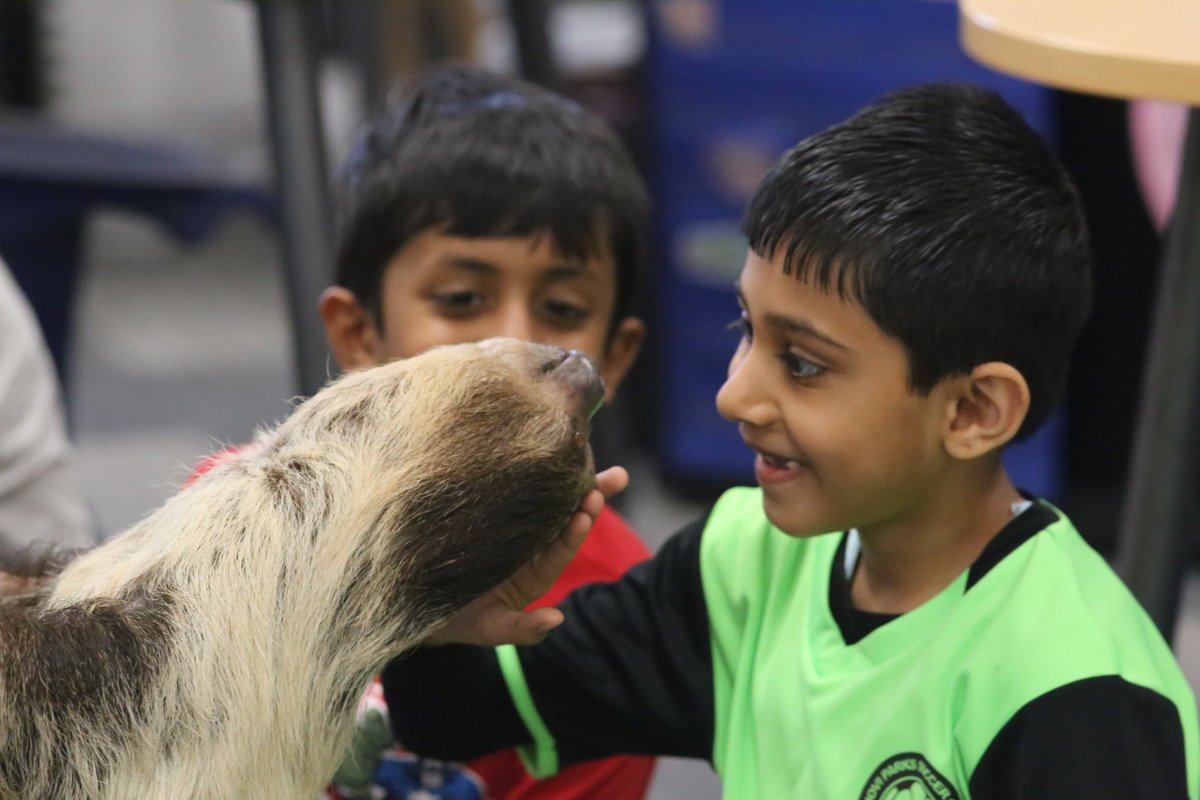 Scenes from Science Alive @NoviParkview #NoviPride