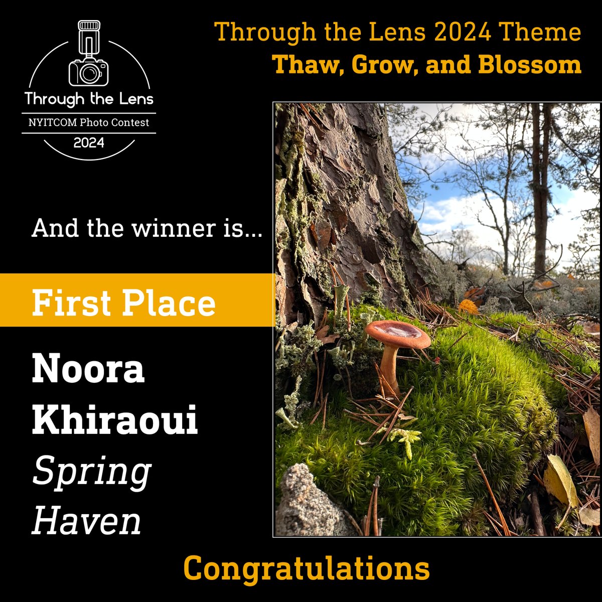 Congratulations to all the talented winners of Segment 23: 'Thaw, Grow, and Blossom' in our Through the Lens Initiative! Your photos beautifully capture life's transitions. 🥇 First Place: Noora Khiraoui, with 'Spring Haven' For more info visit nyit.edu/medicine/throu…