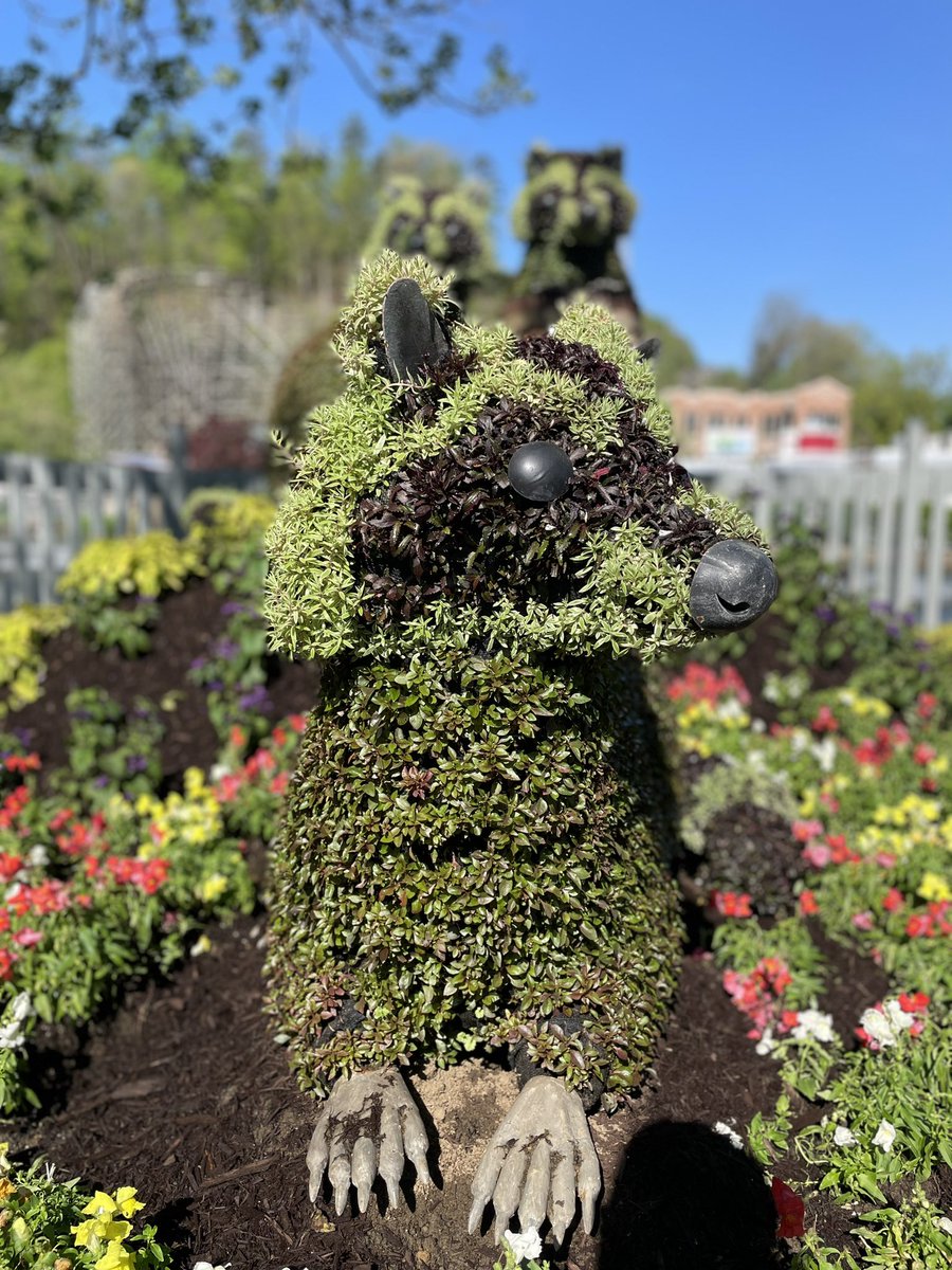 jonnyclt's tweet photo. Welcome to Dollywood https://t.co/qSyvmZBsHB