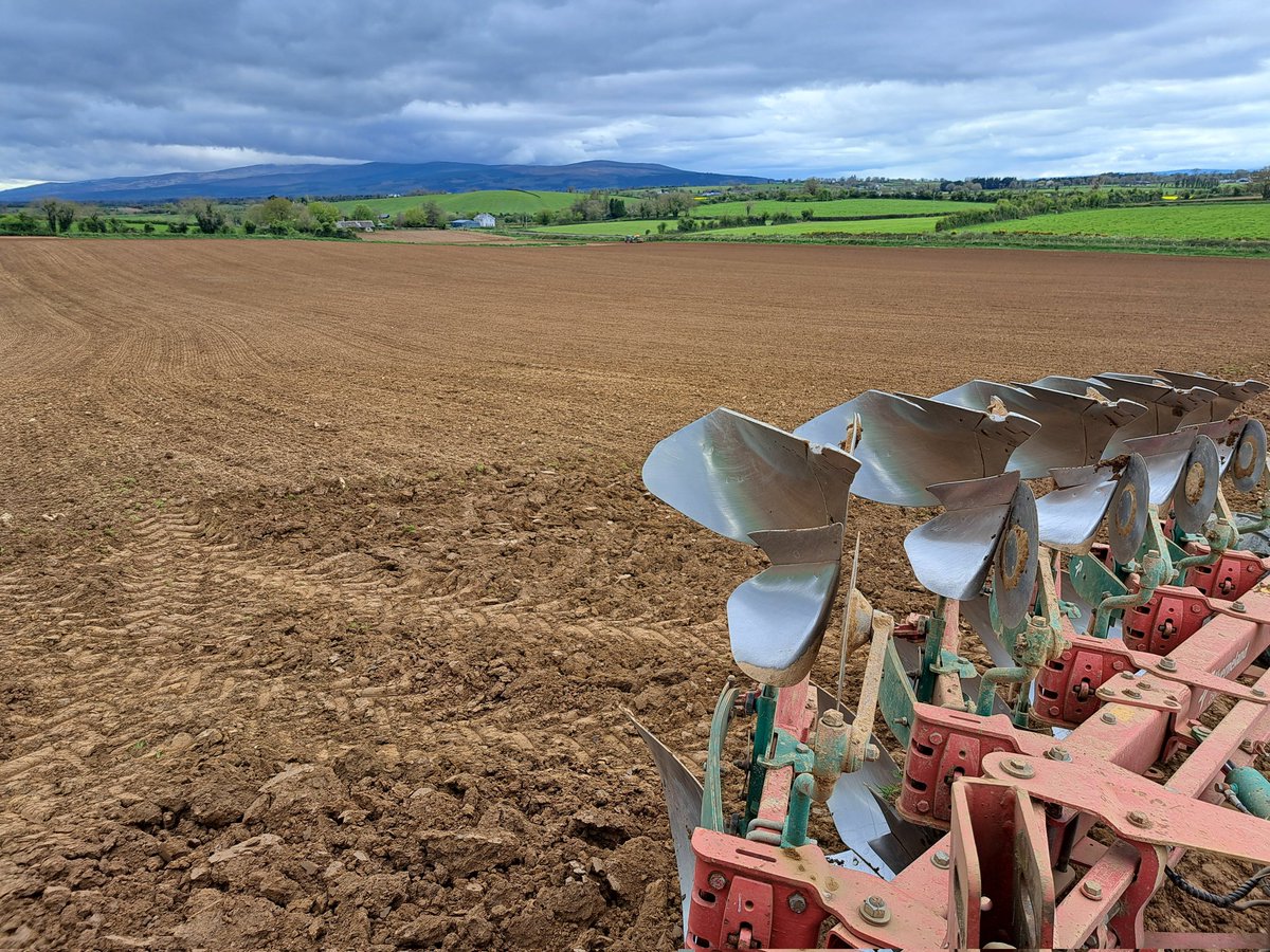 Liam Ahearn tweet media