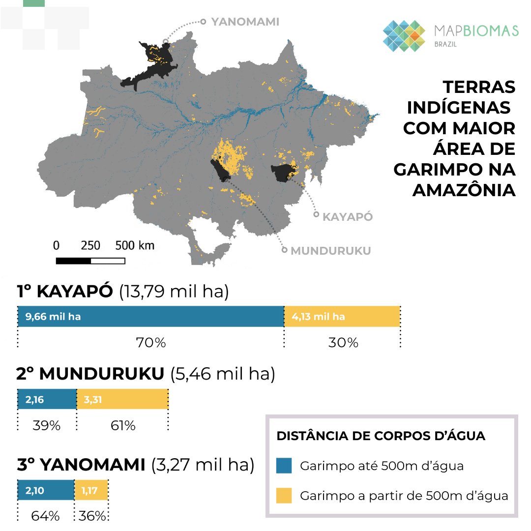 mapbiomas tweet picture