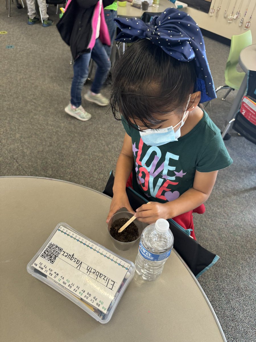 First graders explore the amazing journey of plants and their vital role in our ecosystem. #ScienceEducation #PlantLifeCycle 🌿🔬 #AllMeansAll @GUSDEdServices @LCortezGUSD @zjgalvan @callme_sanchez @aqgillespie @jackyvale18