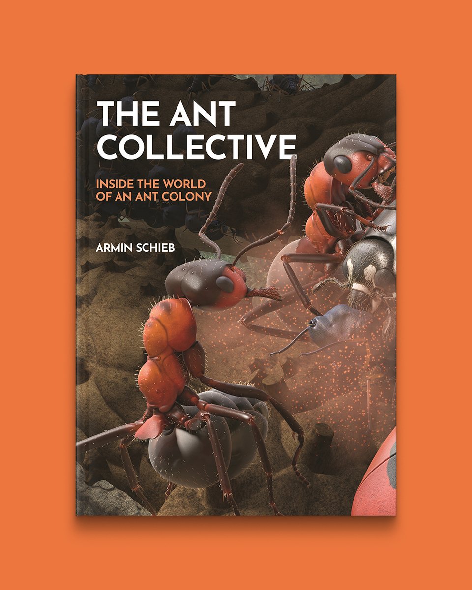 Looking for an #EarthDay read that kids can enjoy? @RonCharles recommends The Ant Collective and its 'captivating drawings.' Check out this week's edition of the @washingtonpost Book Club newsletter: hubs.ly/Q02ttZ3q0