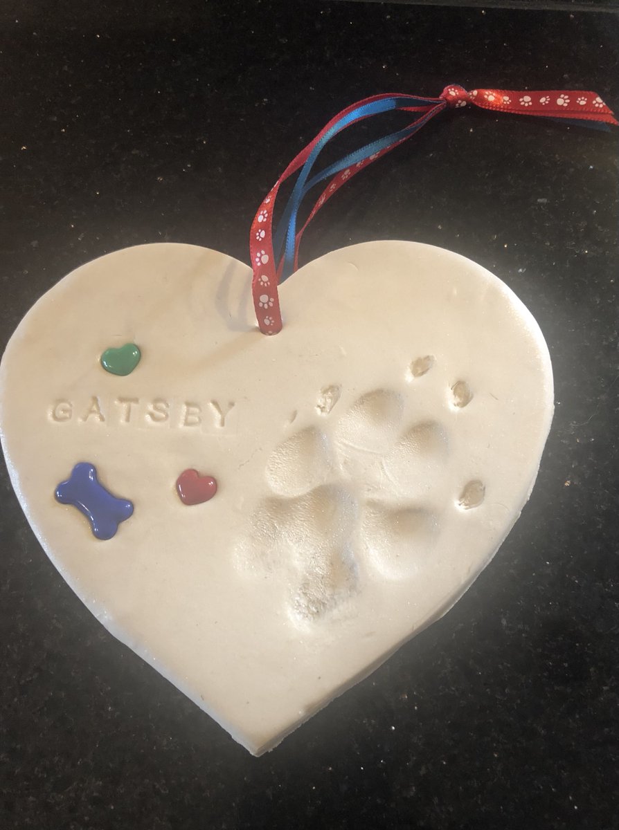 @CloudRiderz 
#flybyfriday
Remembering my sweet boy Gatsby 🌈🩵 🙏