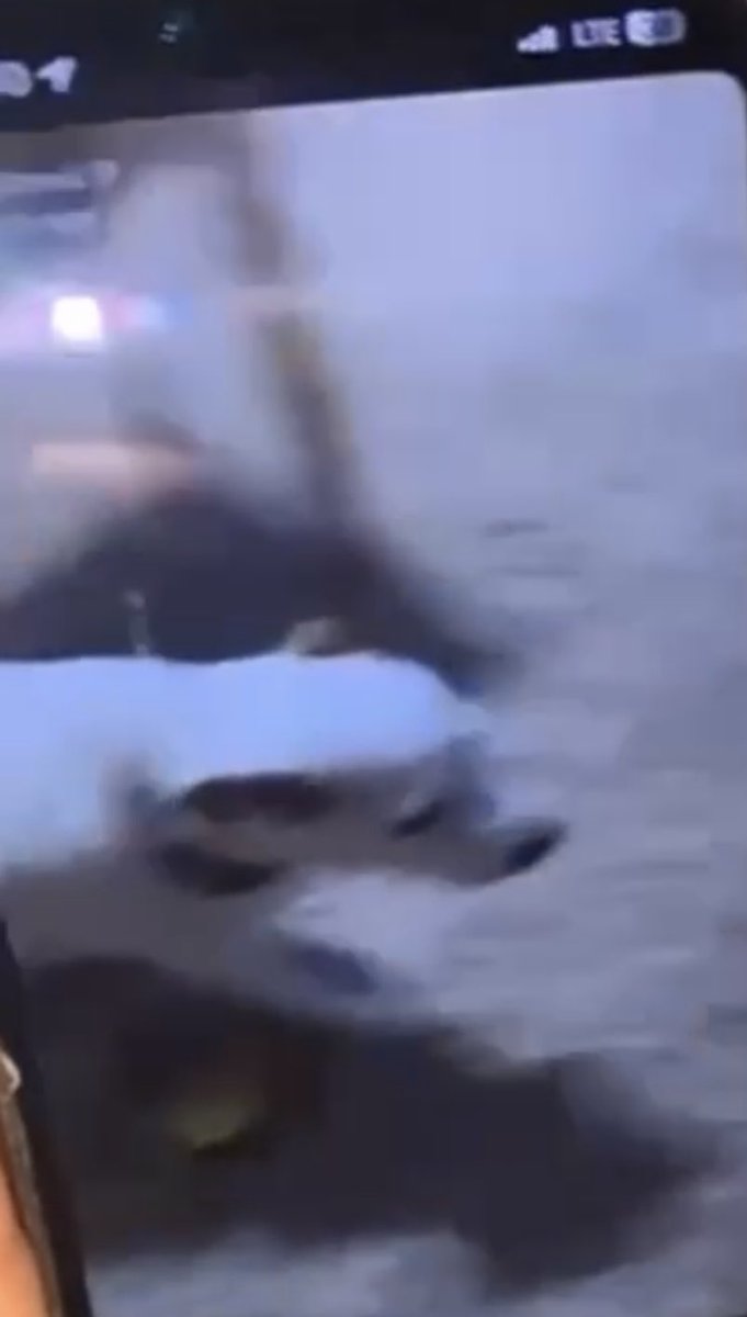 Adertitsoff tweet media