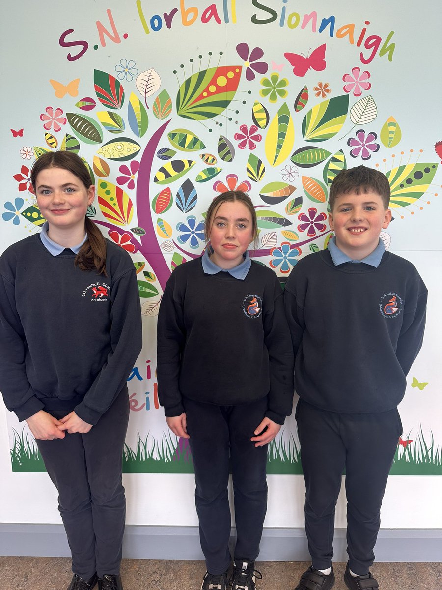 Three of our pupils will take part in the national finals of the Bebras competition in Maynooth University tomorrow. The Bebras competition aims to introduce students to computational thinking. 

Best wishes to Catherine, Cayla and Adam! 
@cesitweets