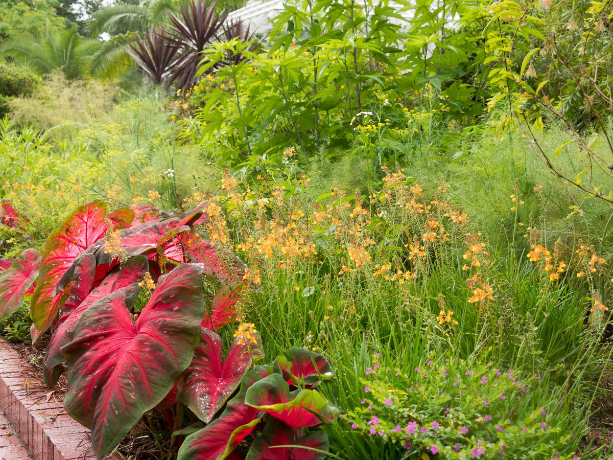 With local gardener insights, each our self-guided day trips highlight 3 #gardens to visit with tips to get the most out of your day. ow.ly/sGQE50Rk5HR Pictured: Harry P. Leu Botanical Garden in Orlando, Florida!!! Photo by Karen Chapman