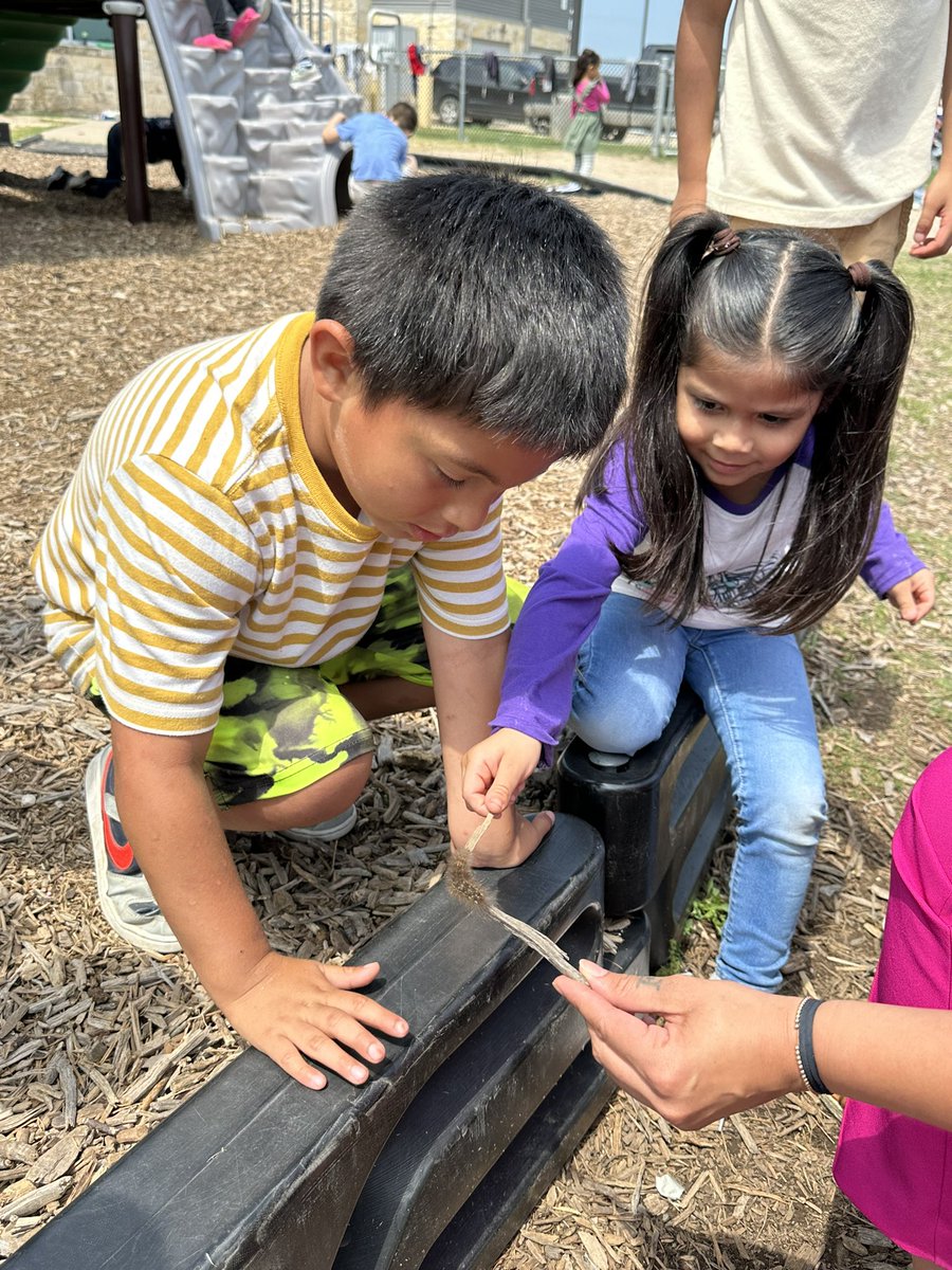 Oh the fun of exploring caterpillars. <a href="/floresbilingue/">Thelma Flores</a> <a href="/Andyfdz99/">Ms. Fernandez</a>