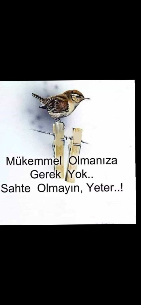 Yahu hey millet hesabı askıya alınmış şu garibe Bi destek verin beya kendim için istiyorsam namerdim 😁😊 👇👇👇👇👇👇👇👇👇 @erolumahmud ☝️☝️☝️☝️☝️☝️☝️☝️☝️